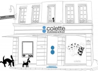 Concept store de luxe: Colette Paris