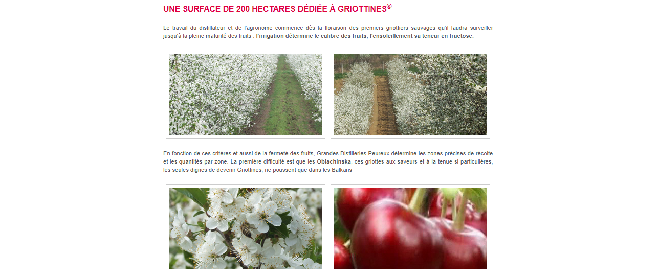 Grandes Distilleries Peureux​