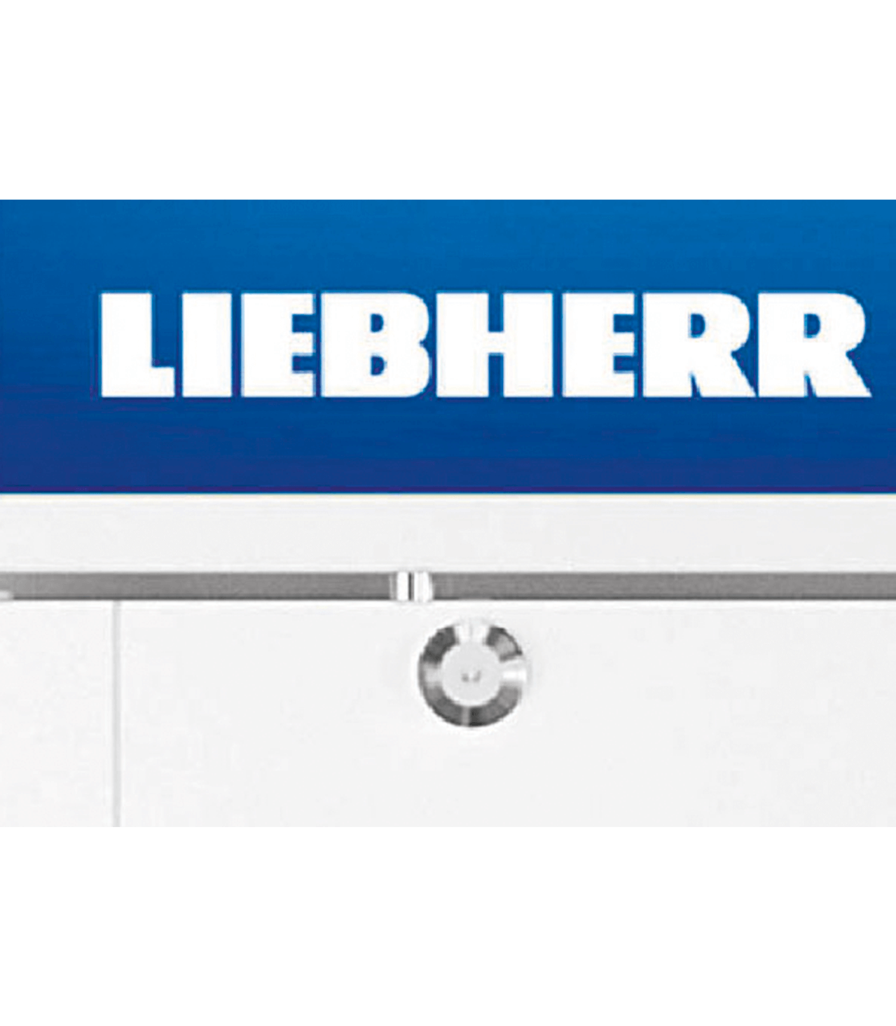 Réfrigérateur display Liebherr FKDV4211 blanc